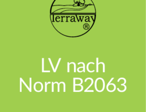 LV nach Norm B2063
